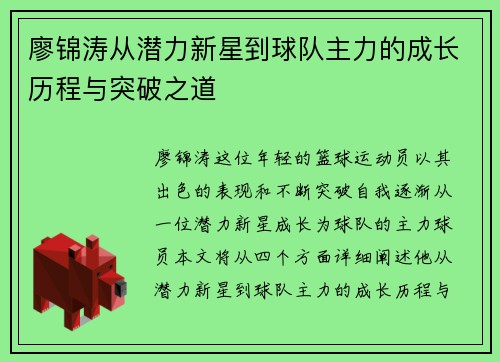 廖锦涛从潜力新星到球队主力的成长历程与突破之道