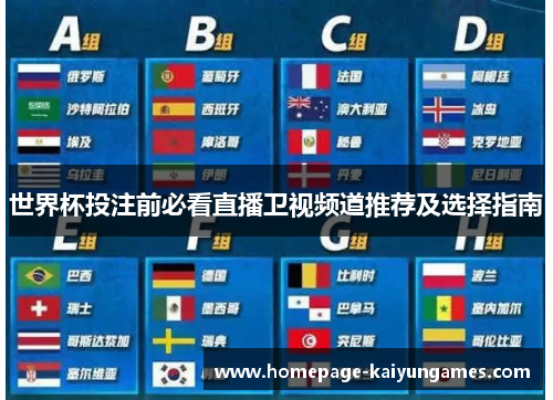 世界杯投注前必看直播卫视频道推荐及选择指南