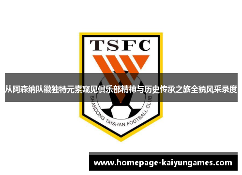 从阿森纳队徽独特元素窥见俱乐部精神与历史传承之旅全貌风采录度